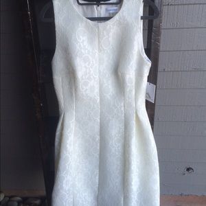 Calvin Klein White Lace Dress